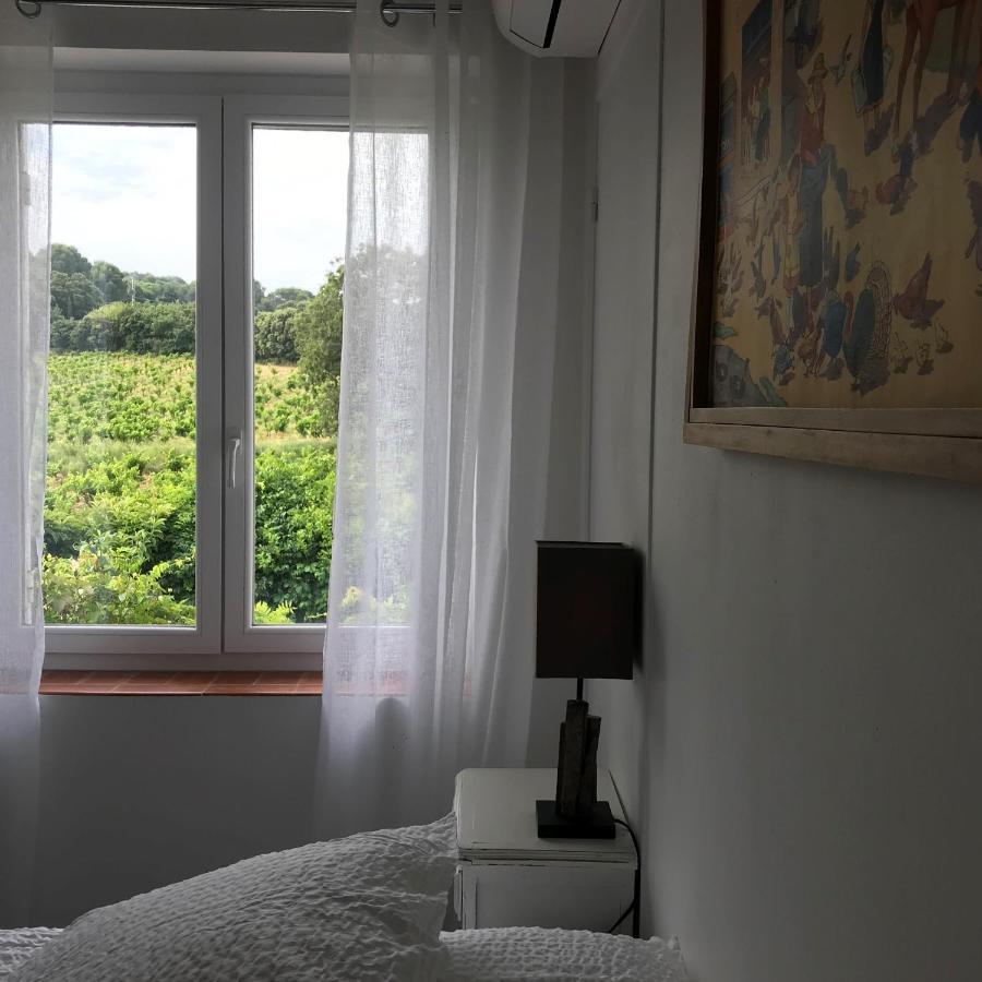 Chambres d'Hôtes et Gîtes Le Mas Mellou Orange  Extérieur photo